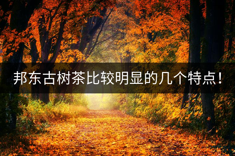 邦東古樹茶比較明顯的幾個特點！