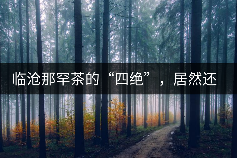 臨滄那罕茶的“四絕”，居然還沒說到它的品質(zhì)