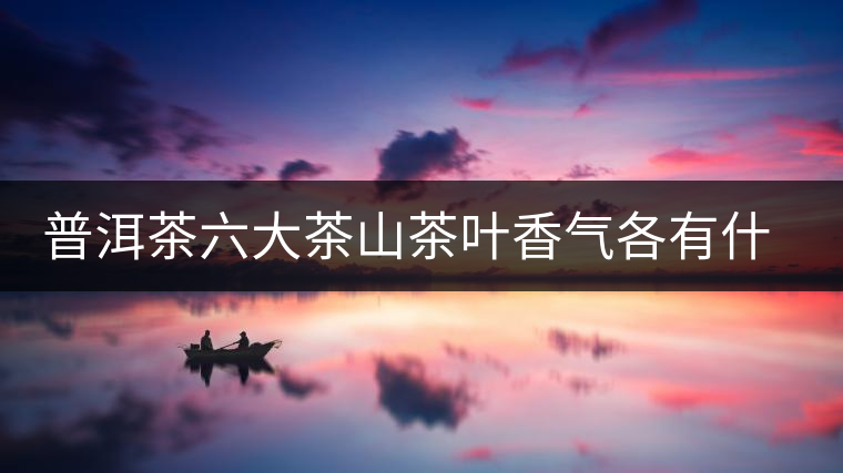 普洱茶六大茶山茶葉香氣各有什么特點？
