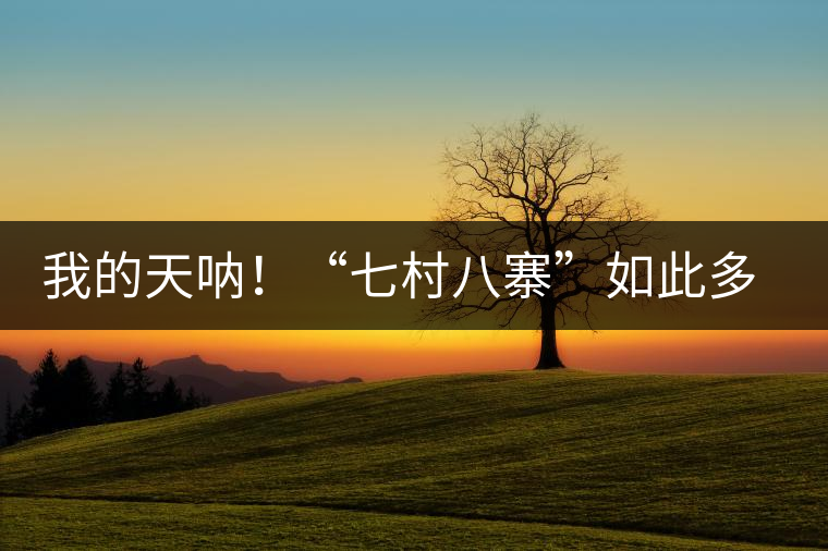 我的天吶！“七村八寨”如此多的易武茶，品質(zhì)特色如何分辨？