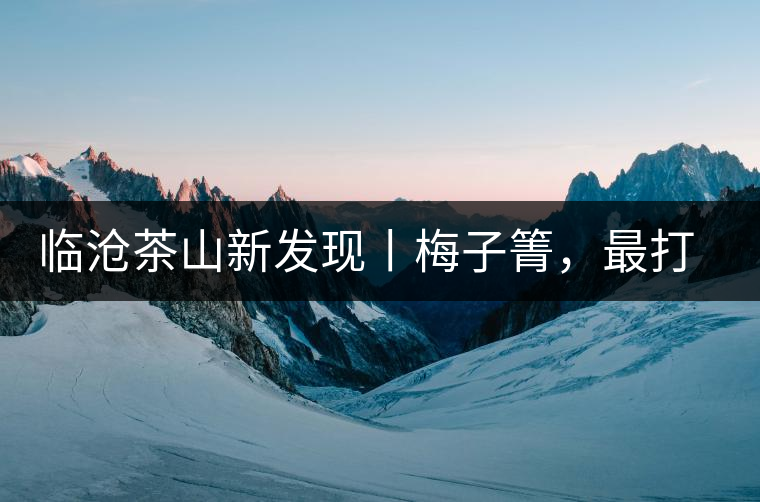 臨滄茶山新發(fā)現(xiàn)丨梅子箐，最打動(dòng)自己的茶山