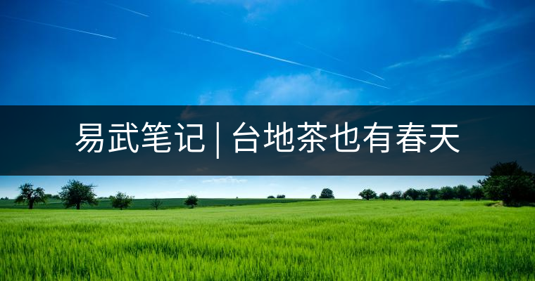 易武筆記 | 臺(tái)地茶也有春天 易武筆記 | 臺(tái)地茶也有春天