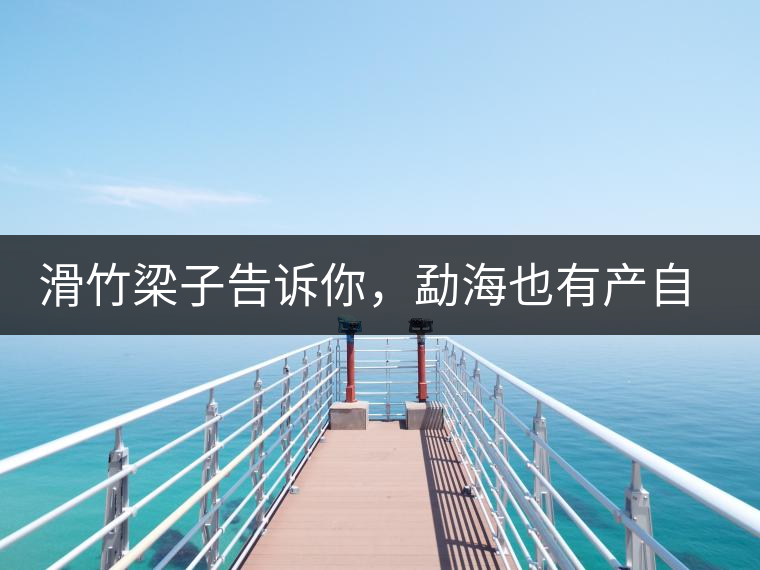 滑竹梁子告訴你，勐海也有產(chǎn)自國有林里的好茶！