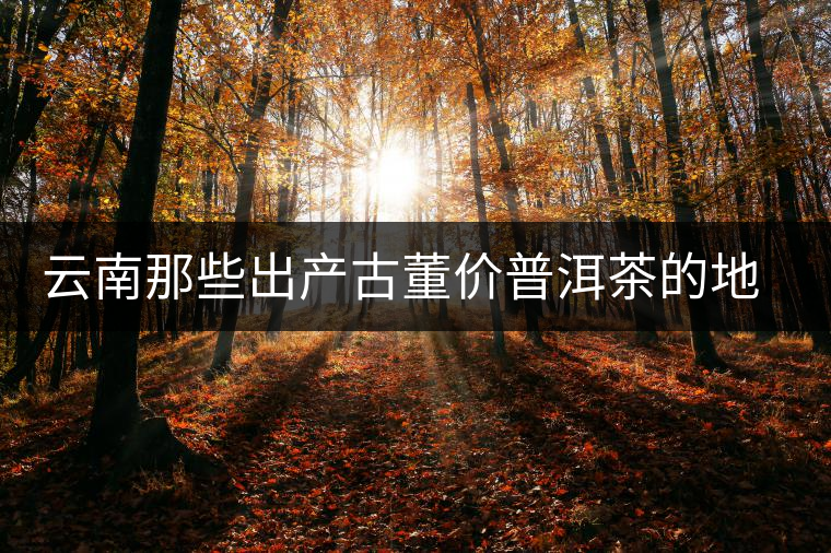 云南那些出產(chǎn)古董價(jià)普洱茶的地方，風(fēng)景如畫！