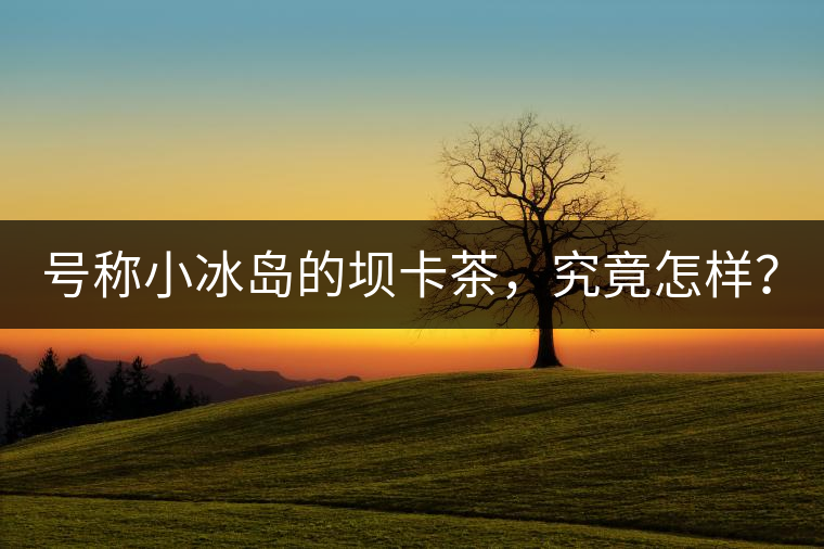 號稱小冰島的壩卡茶，究竟怎樣？