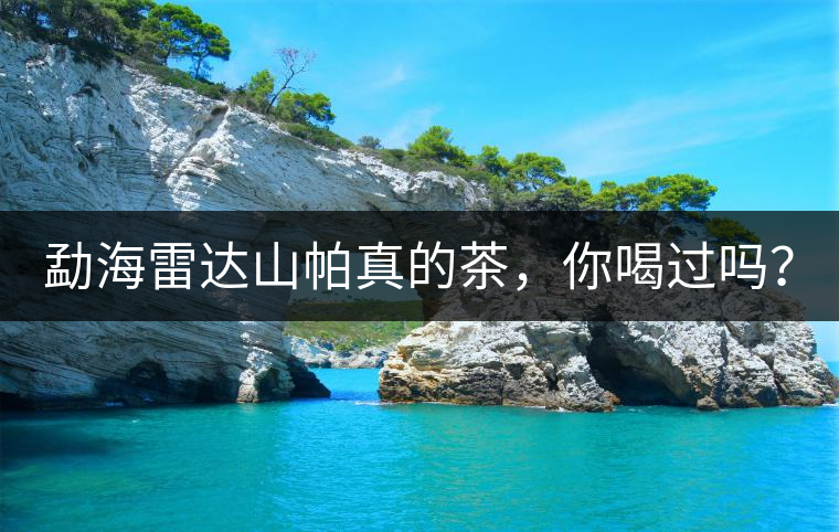 勐海雷達(dá)山帕真的茶，你喝過嗎？