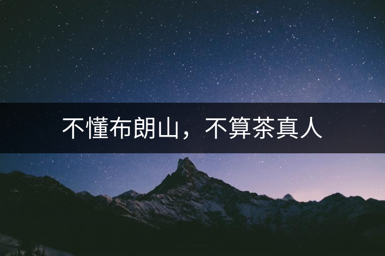 不懂布朗山，不算茶真人