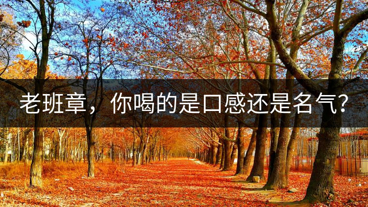 老班章，你喝的是口感還是名氣？