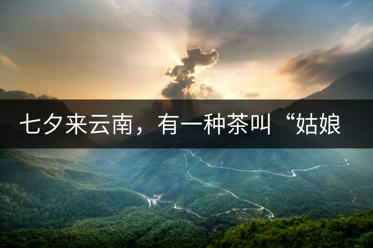 七夕來云南，有一種茶叫“姑娘茶”，也許你就能遇上