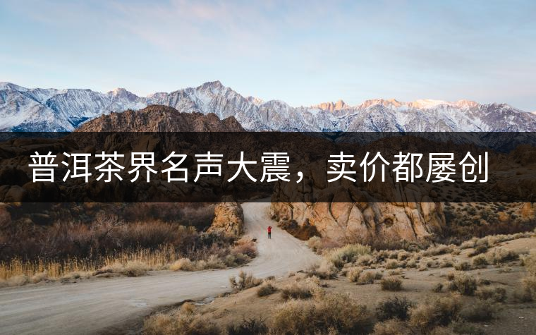 普洱茶界名聲大震，賣價都屢創(chuàng)新高竟然是它