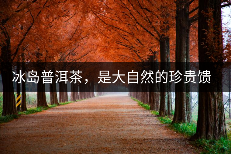 冰島普洱茶，是大自然的珍貴饋贈