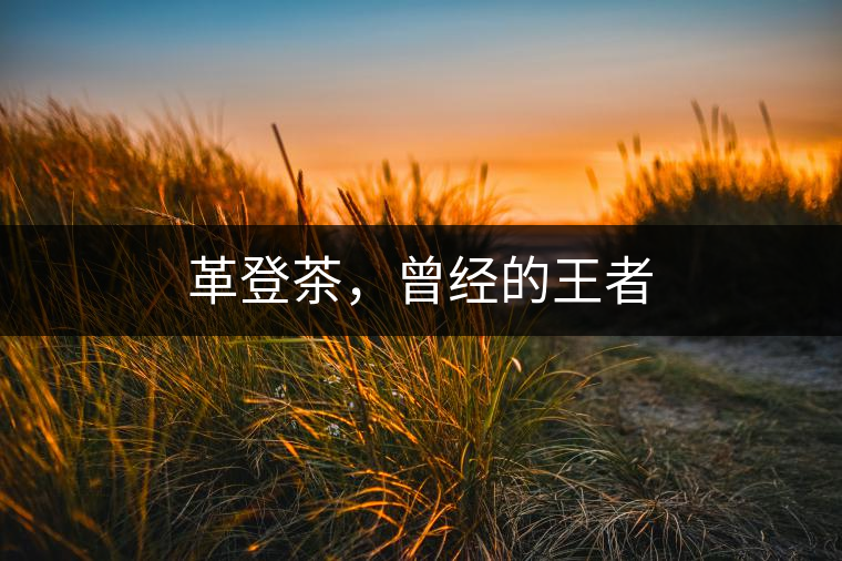 革登茶，曾經(jīng)的王者