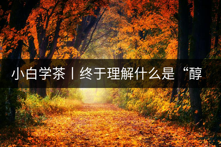 小白學(xué)茶丨終于理解什么是“醇厚、耐泡，回甘”了