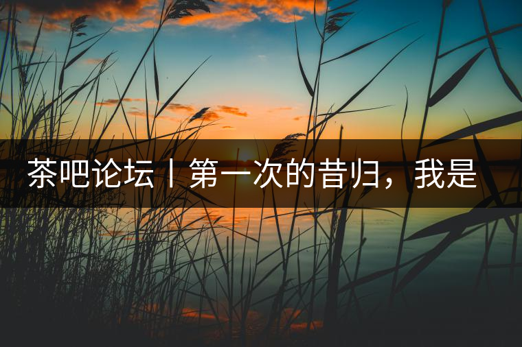 茶吧論壇丨第一次的昔歸，我是這樣喝到的