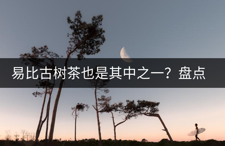 易比古樹茶也是其中之一？盤點當下易武最火的十大古樹茶！
