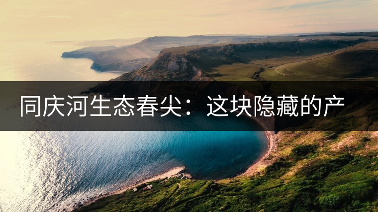 同慶河生態(tài)春尖：這塊隱藏的產(chǎn)茶圣地，你知道嗎？