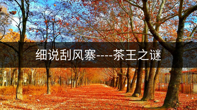 細(xì)說(shuō)刮風(fēng)寨----茶王之謎 細(xì)說(shuō)刮風(fēng)寨----茶王之謎