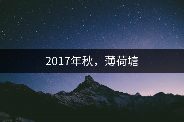 2017年秋,薄荷塘 2017年秋,薄荷塘