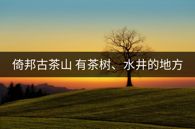 倚邦古茶山 有茶樹、水井的地方 倚邦古茶山 有茶樹、水井的地方
