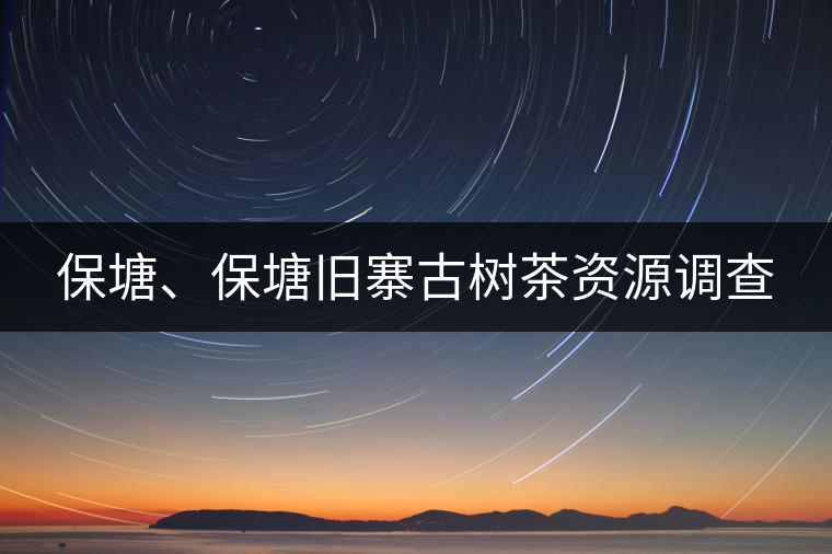 保塘、保塘舊寨古樹茶資源調(diào)查