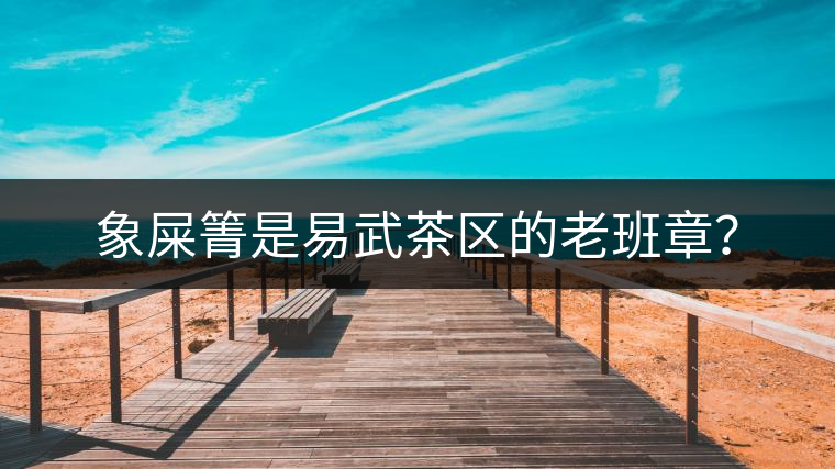 象屎箐是易武茶區(qū)的老班章？