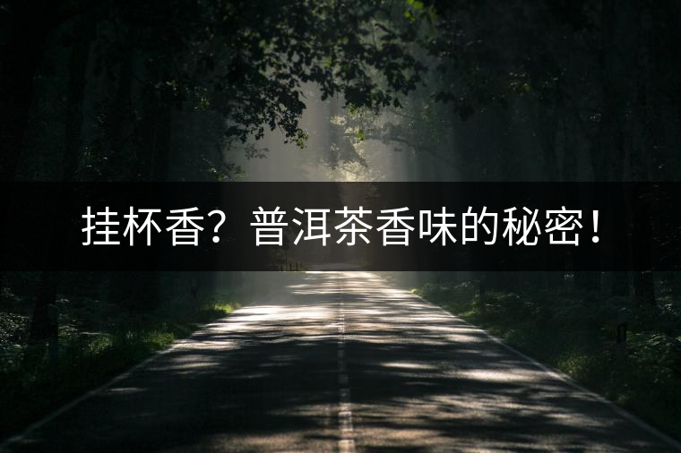 掛杯香？普洱茶香味的秘密！