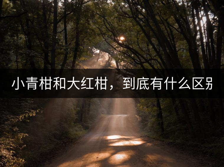 小青柑和大紅柑，到底有什么區(qū)別？