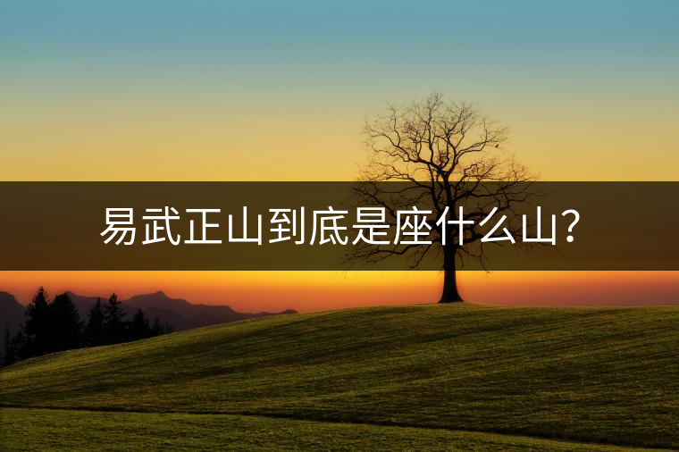 易武正山到底是座什么山？