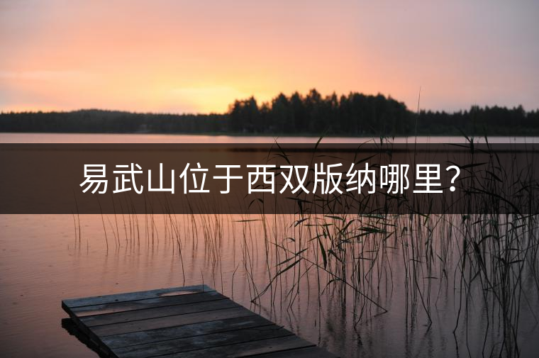 易武山位于西雙版納哪里？