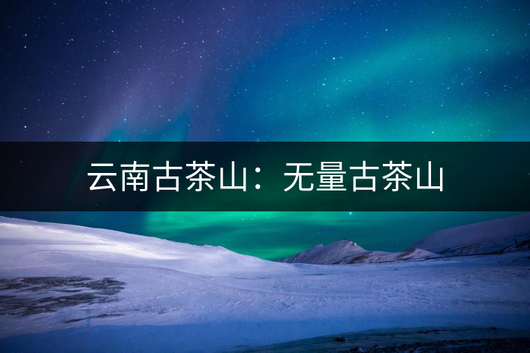 云南古茶山:無量古茶山 云南古茶山:無量古茶山