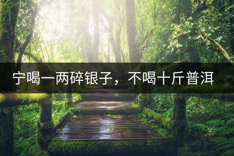 寧喝一兩碎銀子，不喝十斤普洱茶