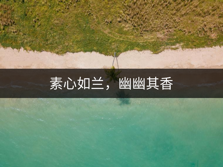 素心如蘭，幽幽其香