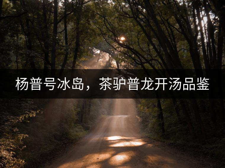 楊普號冰島，茶驢普龍開湯品鑒