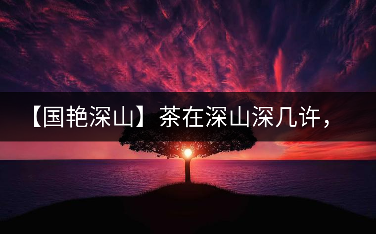 【國艷深山】茶在深山深幾許，布朗味釅釅幾分！