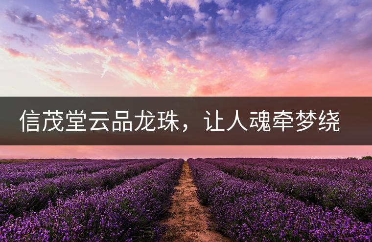 信茂堂云品龍珠，讓人魂?duì)繅衾@的尤物