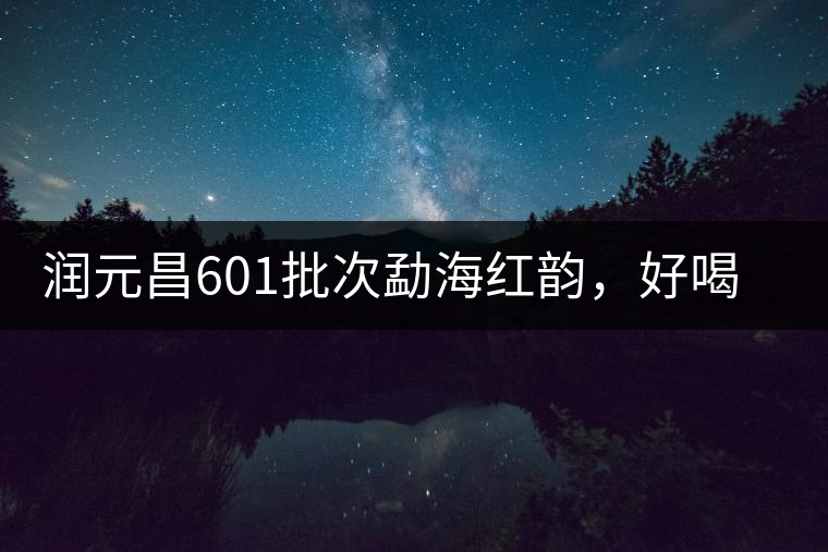 潤(rùn)元昌601批次勐海紅韻，好喝不貴的口糧熟茶