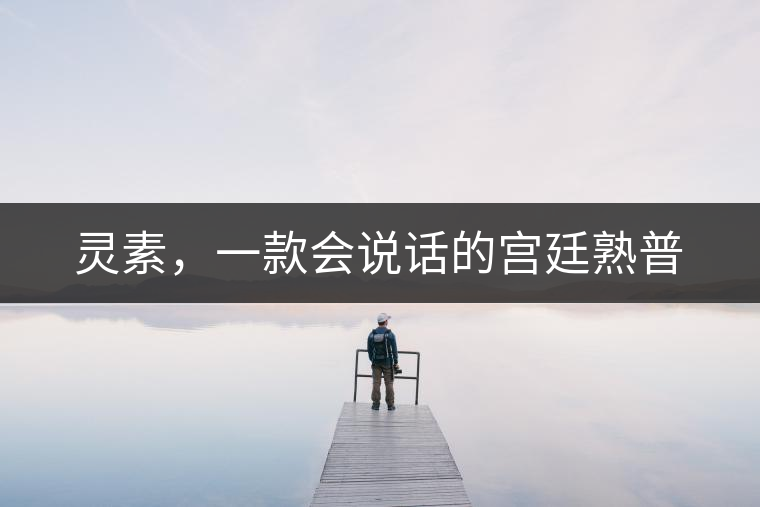 靈素，一款會(huì)說(shuō)話的宮廷熟普