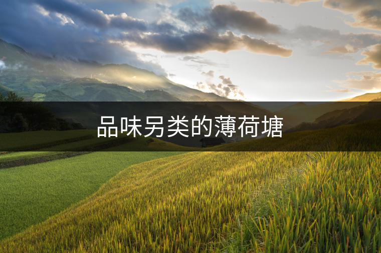 品味另類的薄荷塘 品味另類的薄荷塘