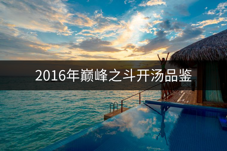 2016年巔峰之斗開湯品鑒 2016年巔峰之斗開湯品鑒