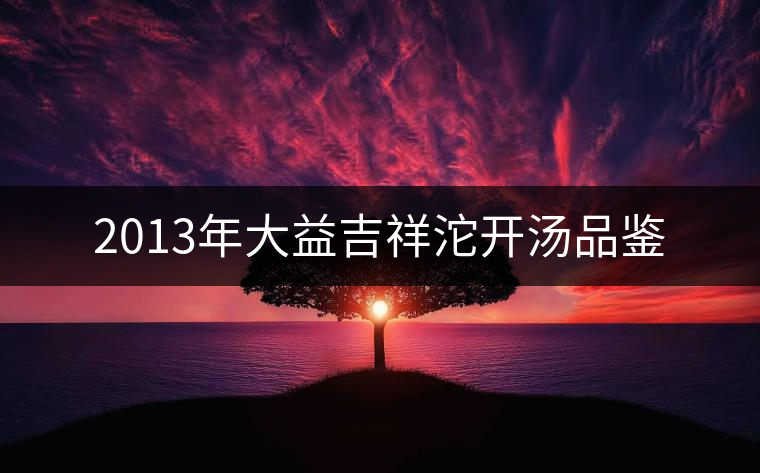 2013年大益吉祥沱開(kāi)湯品鑒