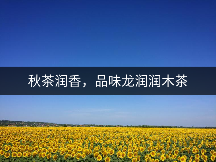 秋茶潤(rùn)香，品味龍潤(rùn)潤(rùn)木茶