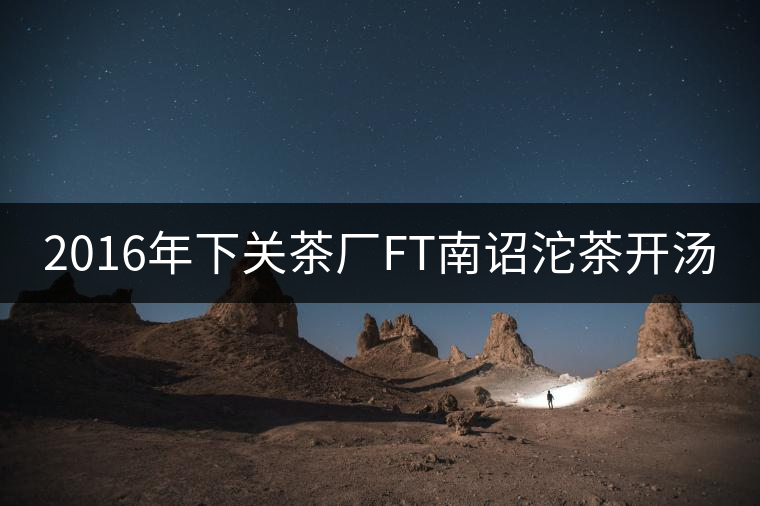 2016年下關(guān)茶廠FT南詔沱茶開(kāi)湯