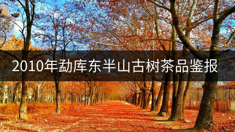 2010年勐庫(kù)東半山古樹茶品鑒報(bào)告 2010年勐庫(kù)東半山古樹茶品鑒報(bào)告