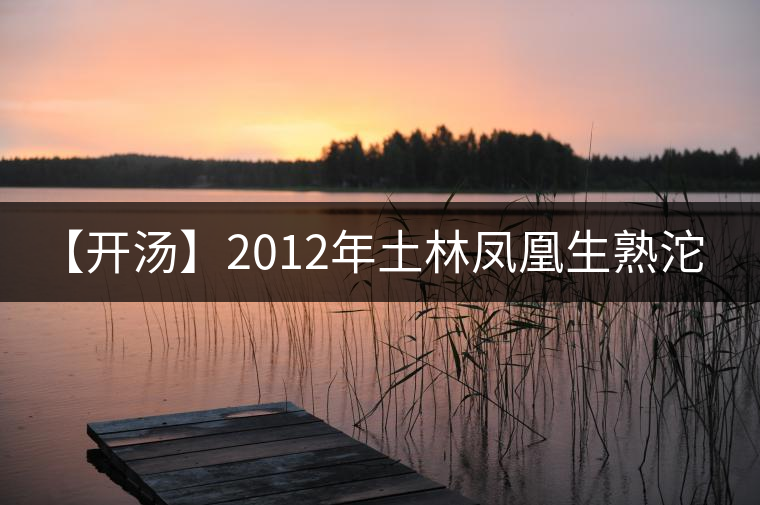 【開湯】2012年土林鳳凰生熟沱！