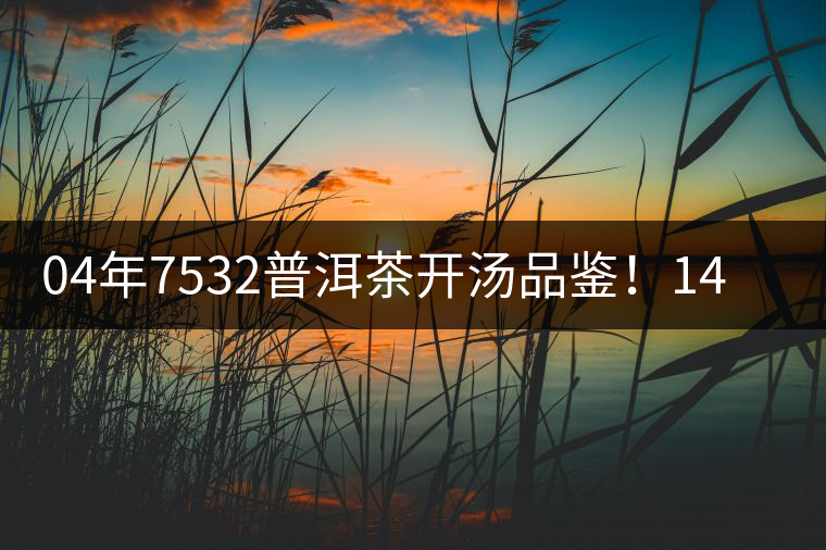 04年7532普洱茶開(kāi)湯品鑒！14年轉(zhuǎn)化，經(jīng)典雪印配方！
