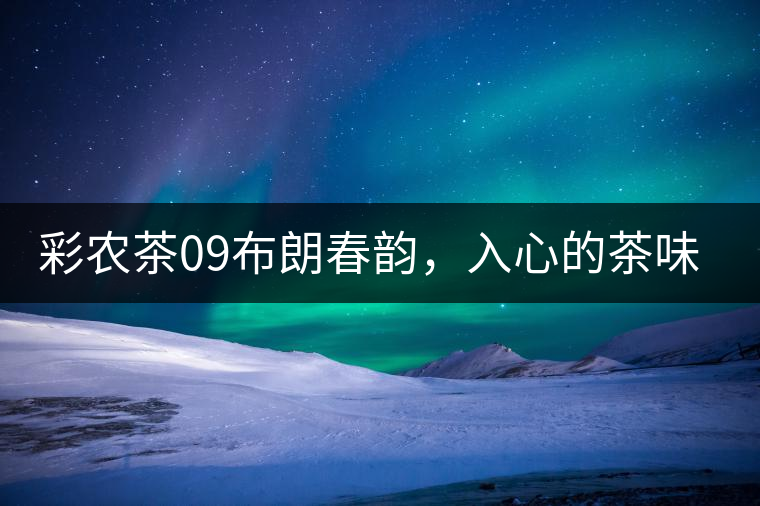 彩農(nóng)茶09布朗春韻，入心的茶味兒