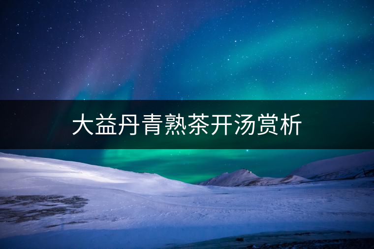 大益丹青熟茶開湯賞析 大益丹青熟茶開湯賞析