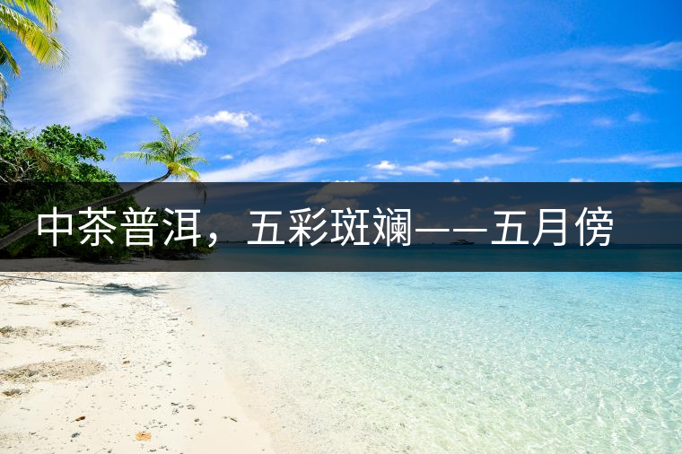 中茶普洱，五彩斑斕——五月傍晚，一道茶