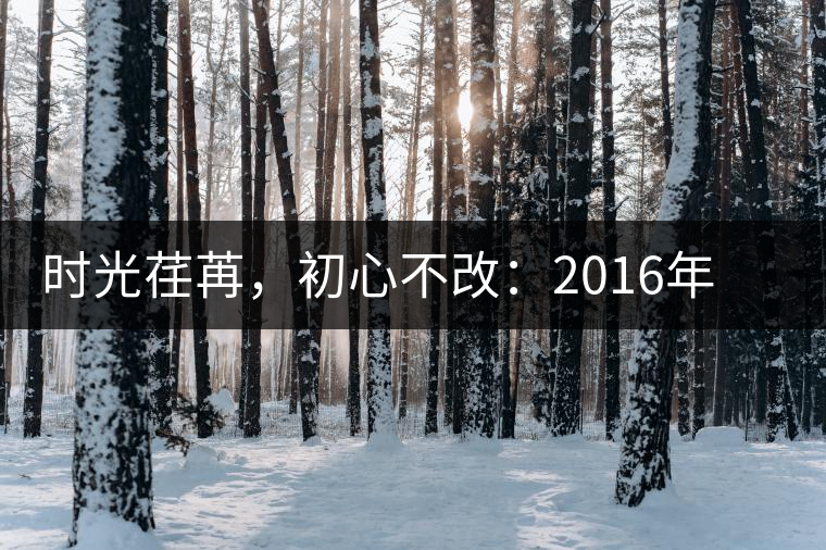 時(shí)光荏苒，初心不改：2016年老同志為天下人做好茶開(kāi)湯