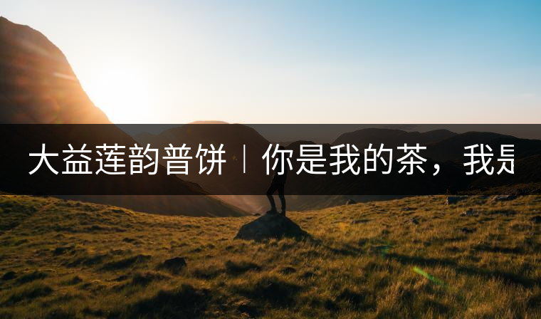 大益蓮韻普餅︱你是我的茶，我是你的人！